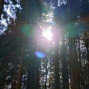 ヒメ日記 2025/01/08 15:26 投稿 青嶋はるき お色気物語（横浜ハレ系）