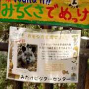 ヒメ日記 2025/01/10 16:34 投稿 青嶋はるき お色気物語（横浜ハレ系）