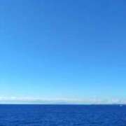 ヒメ日記 2025/02/07 15:33 投稿 青嶋はるき お色気物語（横浜ハレ系）