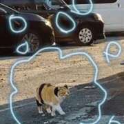 ヒメ日記 2025/02/20 16:28 投稿 青嶋はるき お色気物語（横浜ハレ系）