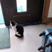 ヒメ日記 2025/03/19 16:16 投稿 青嶋はるき お色気物語（横浜ハレ系）