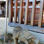 ヒメ日記 2025/03/23 15:29 投稿 青嶋はるき お色気物語（横浜ハレ系）