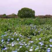 ヒメ日記 2025/03/25 17:12 投稿 青嶋はるき お色気物語（横浜ハレ系）