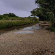 ヒメ日記 2025/04/08 16:13 投稿 青嶋はるき お色気物語（横浜ハレ系）