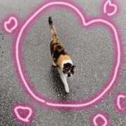 ヒメ日記 2025/04/10 15:35 投稿 青嶋はるき お色気物語（横浜ハレ系）