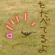 ヒメ日記 2025/04/11 15:10 投稿 青嶋はるき お色気物語（横浜ハレ系）