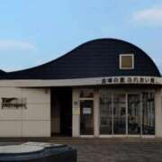 ヒメ日記 2025/04/13 15:37 投稿 青嶋はるき お色気物語（横浜ハレ系）