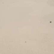 ヒメ日記 2025/04/15 16:43 投稿 青嶋はるき お色気物語（横浜ハレ系）