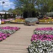 ヒメ日記 2025/04/21 16:19 投稿 青嶋はるき お色気物語（横浜ハレ系）