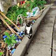 ヒメ日記 2025/04/24 16:51 投稿 青嶋はるき お色気物語（横浜ハレ系）