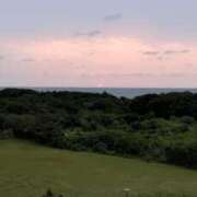 ヒメ日記 2025/04/30 16:24 投稿 青嶋はるき お色気物語（横浜ハレ系）