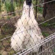 ヒメ日記 2025/05/06 16:16 投稿 青嶋はるき お色気物語（横浜ハレ系）