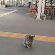 ヒメ日記 2025/05/21 16:06 投稿 青嶋はるき お色気物語（横浜ハレ系）