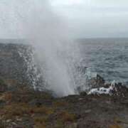 ヒメ日記 2025/06/04 17:02 投稿 青嶋はるき お色気物語（横浜ハレ系）
