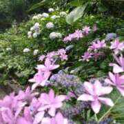 ヒメ日記 2025/06/05 16:40 投稿 青嶋はるき お色気物語（横浜ハレ系）