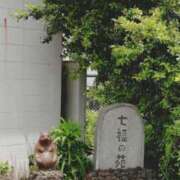 ヒメ日記 2025/06/25 16:36 投稿 青嶋はるき お色気物語（横浜ハレ系）