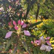 ヒメ日記 2025/07/07 16:27 投稿 青嶋はるき お色気物語（横浜ハレ系）