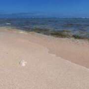 ヒメ日記 2025/07/21 16:16 投稿 青嶋はるき お色気物語（横浜ハレ系）