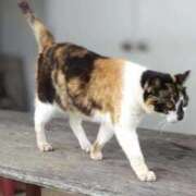 ヒメ日記 2025/08/28 16:45 投稿 青嶋はるき お色気物語（横浜ハレ系）