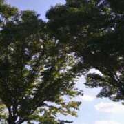 ヒメ日記 2025/09/18 17:08 投稿 青嶋はるき お色気物語（横浜ハレ系）