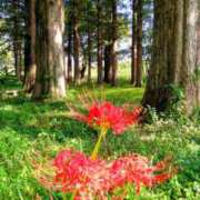 ヒメ日記 2025/09/23 16:34 投稿 青嶋はるき お色気物語（横浜ハレ系）