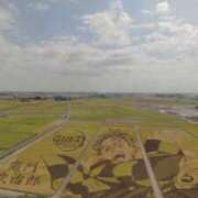 ヒメ日記 2025/09/30 15:51 投稿 青嶋はるき お色気物語（横浜ハレ系）