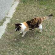 ヒメ日記 2025/10/10 17:22 投稿 青嶋はるき お色気物語（横浜ハレ系）