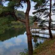 ヒメ日記 2025/11/04 16:39 投稿 青嶋はるき お色気物語（横浜ハレ系）