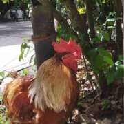 ヒメ日記 2025/11/12 16:59 投稿 青嶋はるき お色気物語（横浜ハレ系）