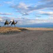 ヒメ日記 2025/11/13 16:30 投稿 青嶋はるき お色気物語（横浜ハレ系）