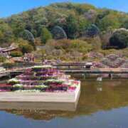 ヒメ日記 2025/12/17 16:12 投稿 青嶋はるき お色気物語（横浜ハレ系）