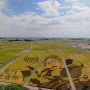 ヒメ日記 2025/12/30 12:24 投稿 青嶋はるき お色気物語（横浜ハレ系）