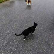 ヒメ日記 2026/01/07 15:35 投稿 青嶋はるき お色気物語（横浜ハレ系）