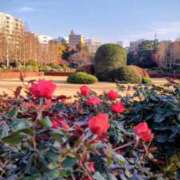 ヒメ日記 2026/01/26 15:10 投稿 青嶋はるき お色気物語（横浜ハレ系）