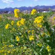 ヒメ日記 2026/02/03 17:17 投稿 青嶋はるき お色気物語（横浜ハレ系）