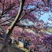 ヒメ日記 2026/02/05 15:30 投稿 青嶋はるき お色気物語（横浜ハレ系）