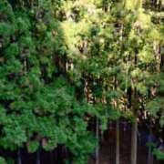 青嶋はるき スギさん達お休み お色気物語（横浜ハレ系）