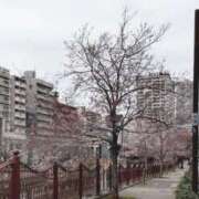 ヒメ日記 2026/03/19 16:01 投稿 青嶋はるき お色気物語（横浜ハレ系）