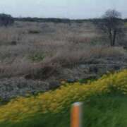 ヒメ日記 2026/03/29 17:45 投稿 青嶋はるき お色気物語（横浜ハレ系）