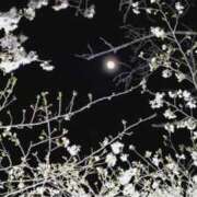 ヒメ日記 2026/04/03 00:45 投稿 青嶋はるき お色気物語（横浜ハレ系）