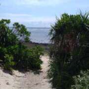 ヒメ日記 2026/04/06 15:44 投稿 青嶋はるき お色気物語（横浜ハレ系）