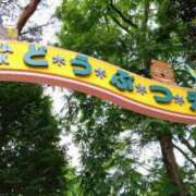 ヒメ日記 2026/05/03 17:31 投稿 青嶋はるき お色気物語（横浜ハレ系）