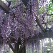 ヒメ日記 2026/05/18 17:15 投稿 青嶋はるき お色気物語（横浜ハレ系）