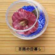 ヒメ日記 2026/05/31 17:31 投稿 青嶋はるき お色気物語（横浜ハレ系）
