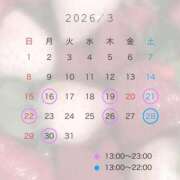 ヒメ日記 2026/03/11 14:35 投稿 かなで ナチュラルプリンセス