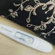 ヒメ日記 2024/12/29 11:08 投稿 ひまわり 素人妻達☆マイふぇらレディー