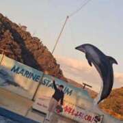 ヒメ日記 2025/01/03 13:15 投稿 ひまわり 素人妻達☆マイふぇらレディー