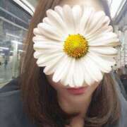 ヒメ日記 2025/01/23 18:36 投稿 ひまわり 素人妻達☆マイふぇらレディー