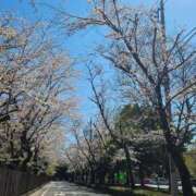 ヒメ日記 2025/04/05 14:02 投稿 ひまわり 素人妻達☆マイふぇらレディー