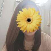 ヒメ日記 2025/05/27 18:08 投稿 ひまわり 素人妻達☆マイふぇらレディー